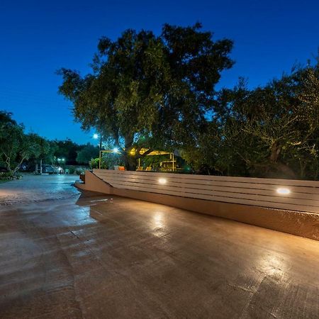 Vasiliki Apartments تراغاكي المظهر الخارجي الصورة