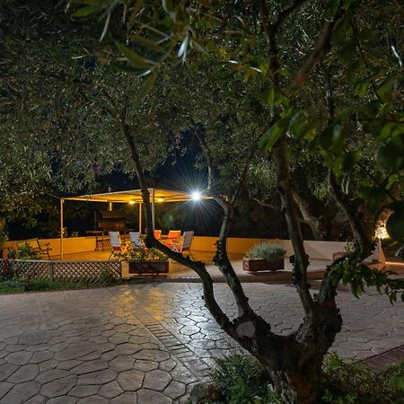 Vasiliki Apartments تراغاكي المظهر الخارجي الصورة