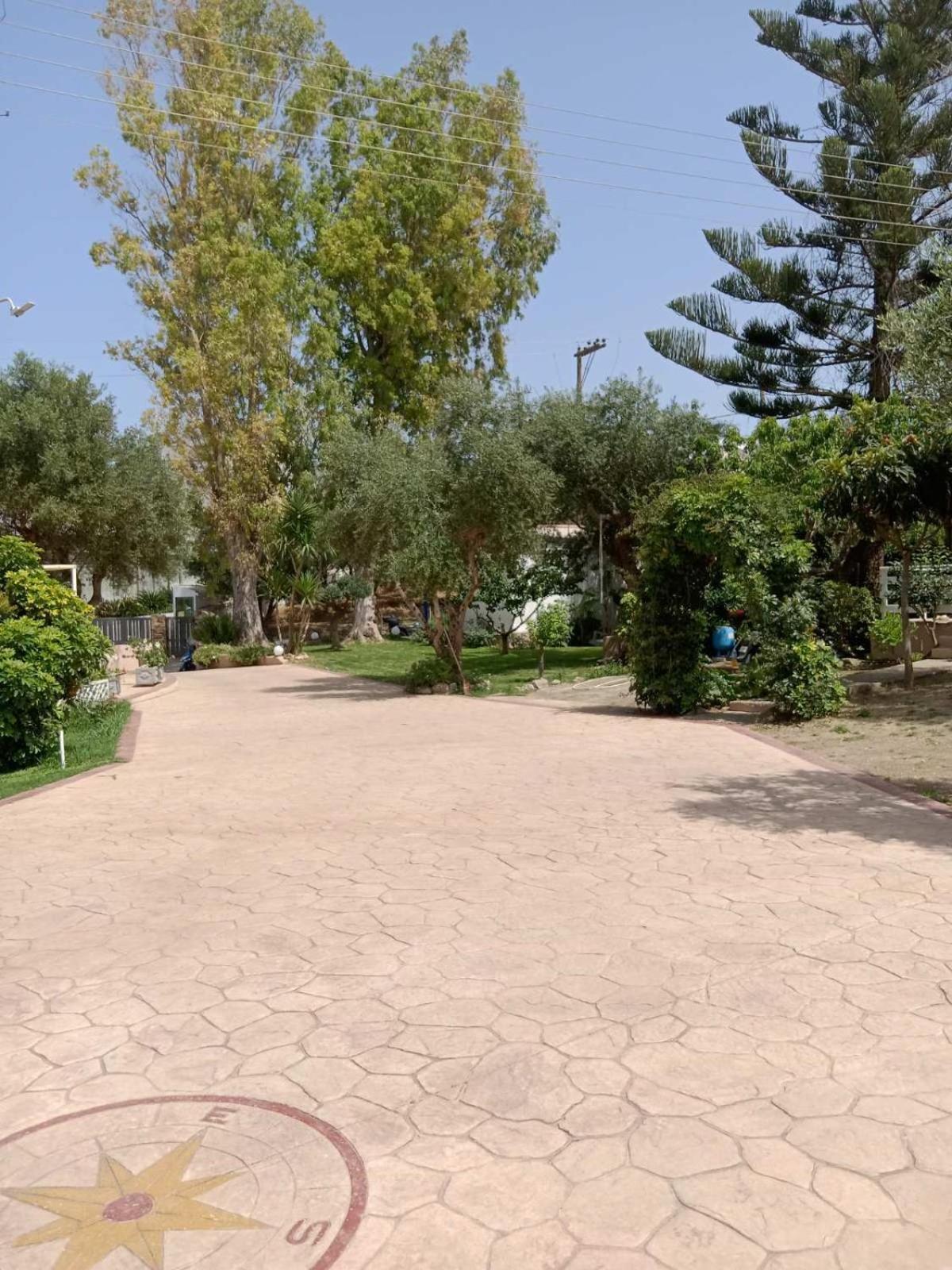 Vasiliki Apartments تراغاكي المظهر الخارجي الصورة