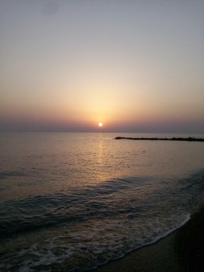 Vasiliki Apartments تراغاكي المظهر الخارجي الصورة