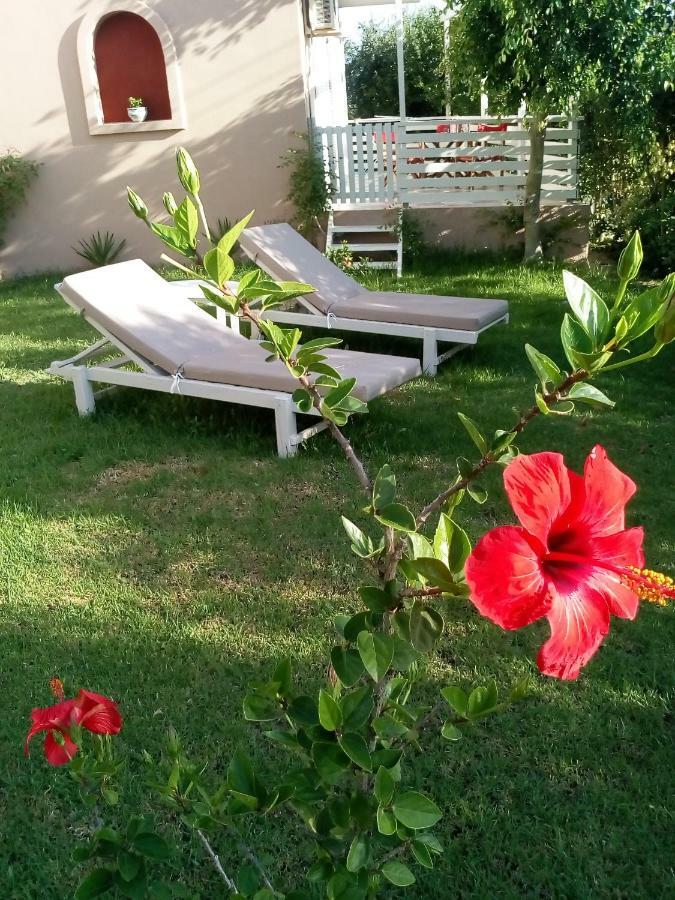Vasiliki Apartments تراغاكي المظهر الخارجي الصورة