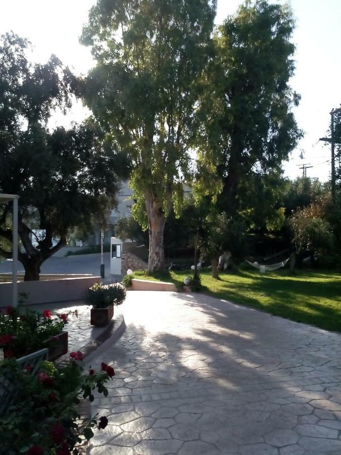 Vasiliki Apartments تراغاكي المظهر الخارجي الصورة